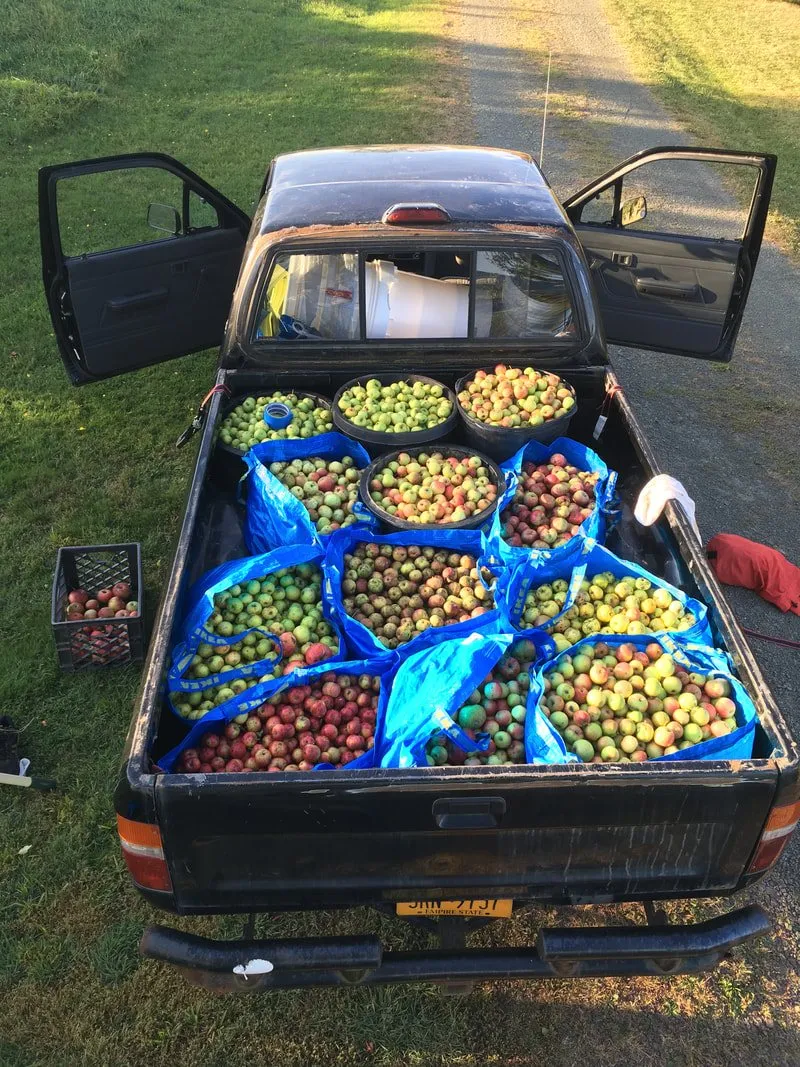Left Bank Ciders