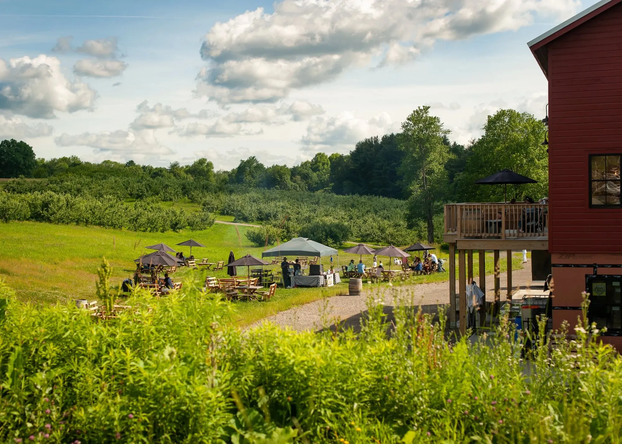 Rose Hill Farm's barn in the orchard