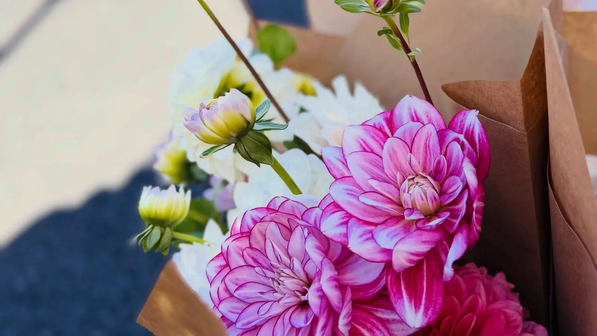 Dahlias wrapped in paper at the Beacon farmers market